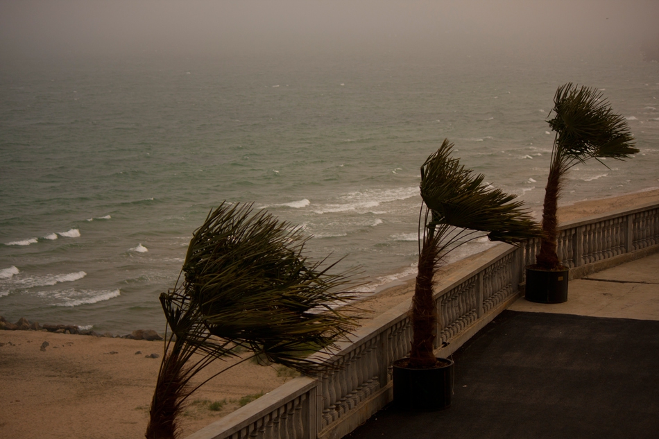wind of change