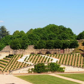 Градината на замъка Amboise