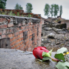 Konzentrationslager Auschwitz_Oświęcim_ПОКЛОН ПРЕД ПАМЕТТА НА ЗАГИНАЛИТЕ