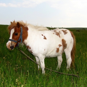 Самотен съм!