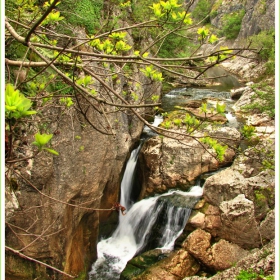 Пролетни водоскоци