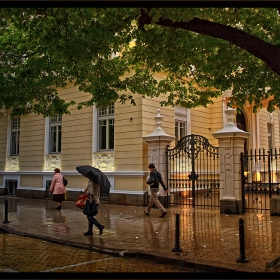 В тази вечер, дъждовна...