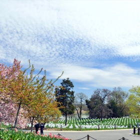 ARLINGTON NATIONAL CEMETERY