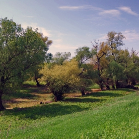 Край дигата