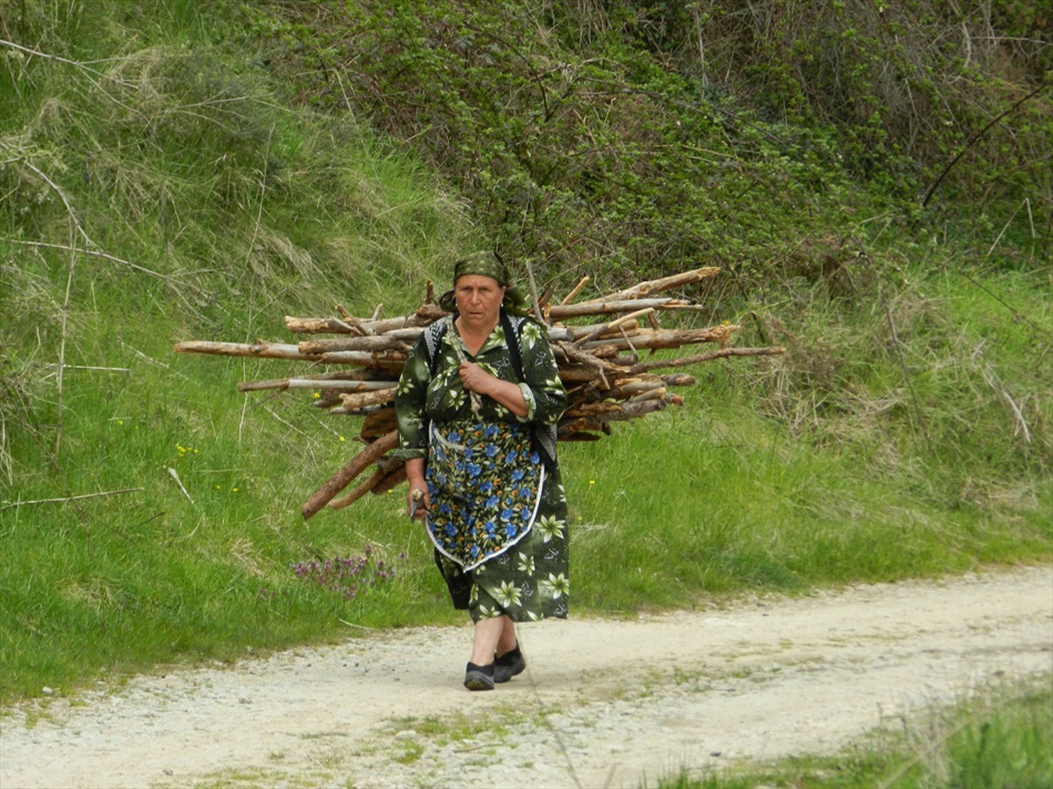 Работлива жена