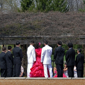 Композиция в черно,бяло и The Lady in Pink :)