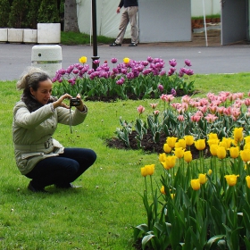 Флора 2011-Бургас / Красотата и фотографията