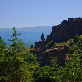 Чудесата на природата