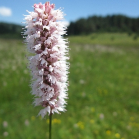 Colurful