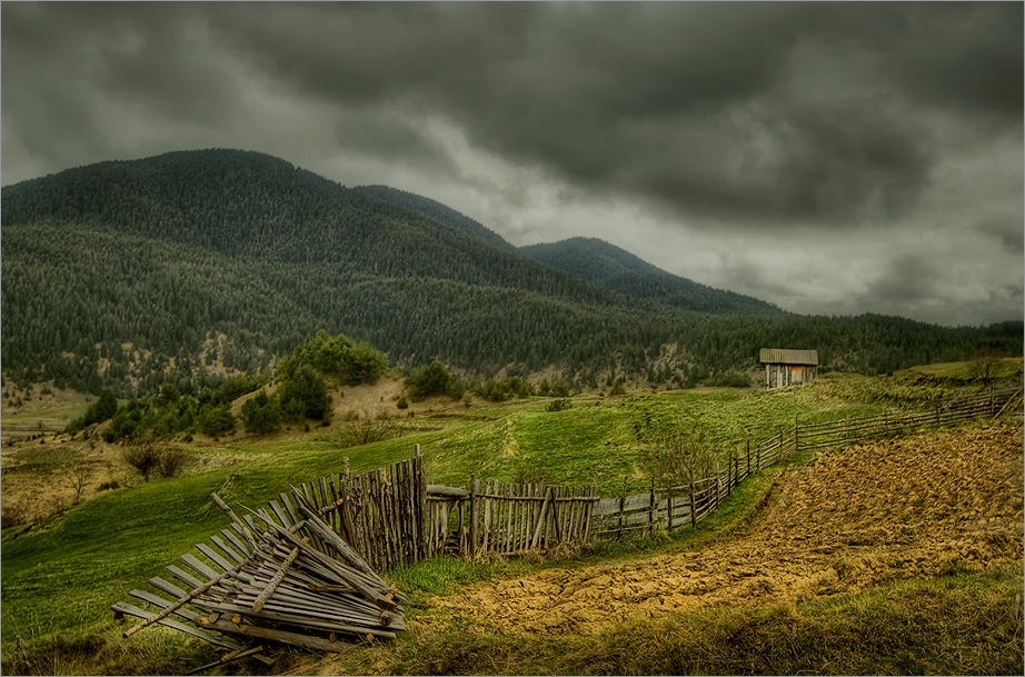 Самота