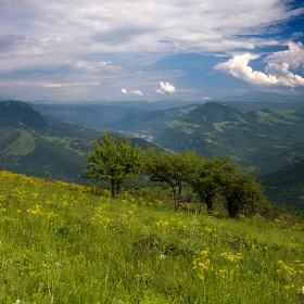 Към Тетевен от Камен Лисец