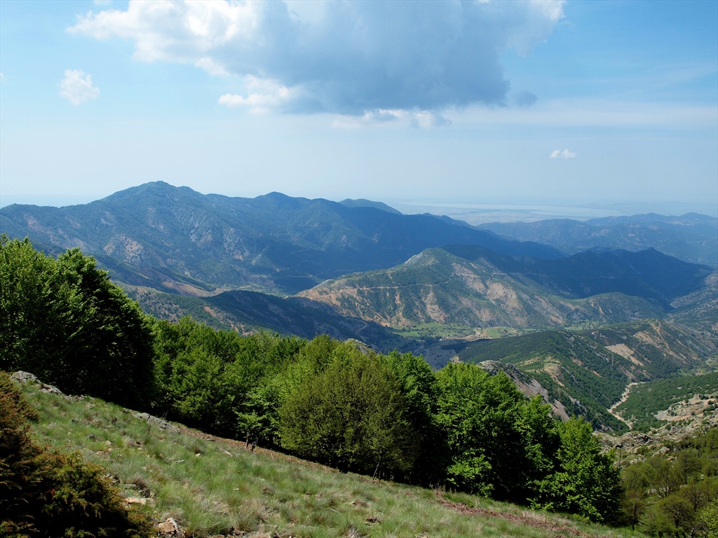 На юг от границата