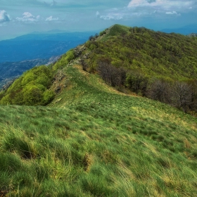 По южната граница