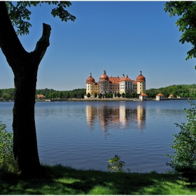 Schloss Moritzburg