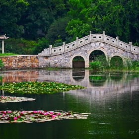 East Lake park- Wuhan (провинция Hubei)