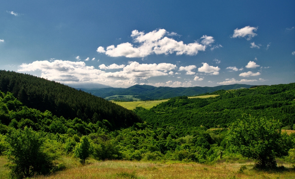 Зелени красоти