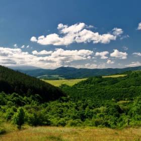 Зелени красоти