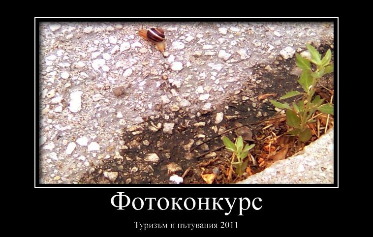 всички пътуват