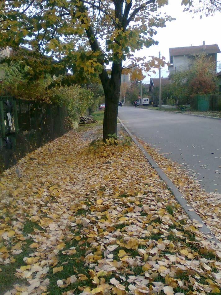 пейзаж