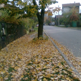 пейзаж
