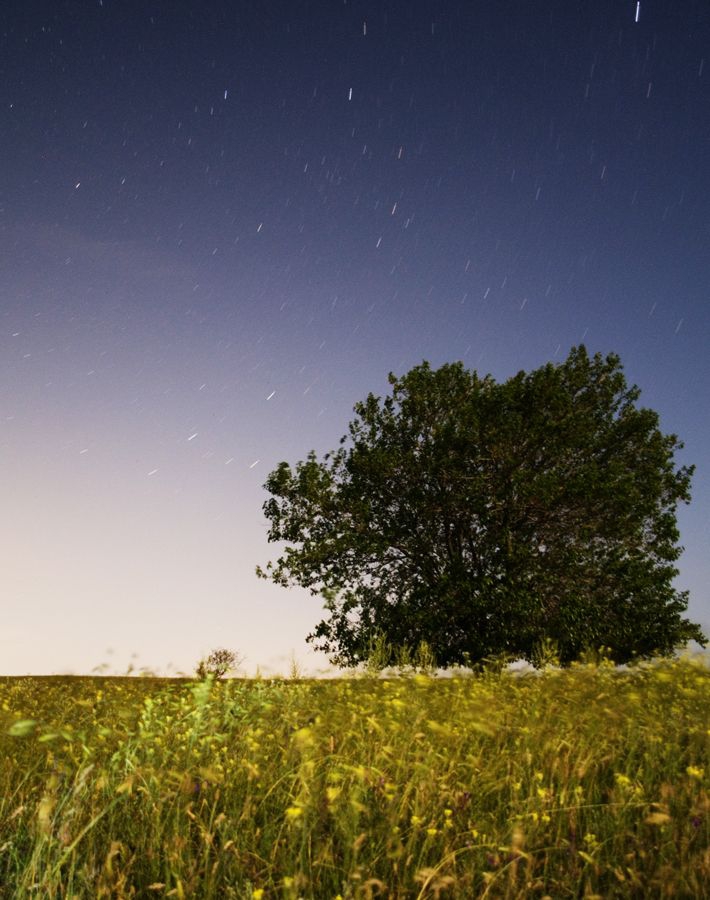Startrails (7 min)