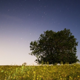 Startrails (7 min)