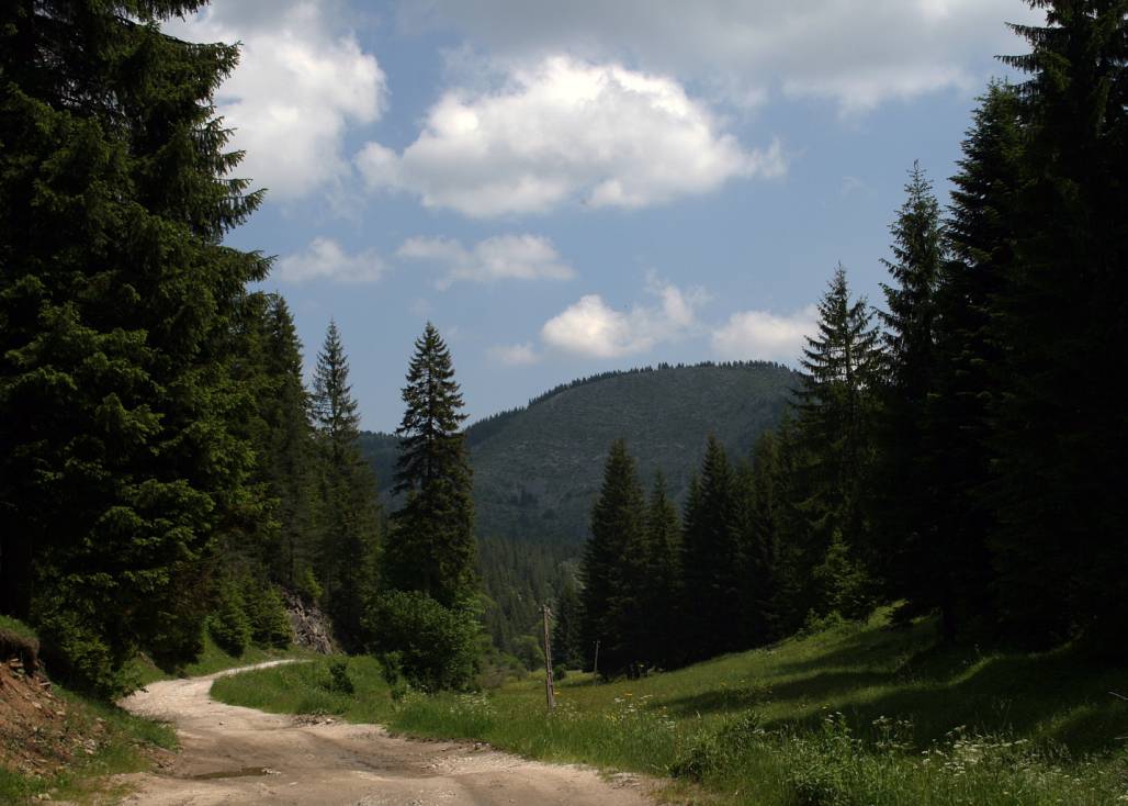 Към с.Водни пад