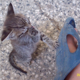 Izi - 5 weeks