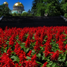 Градски пейзаж!