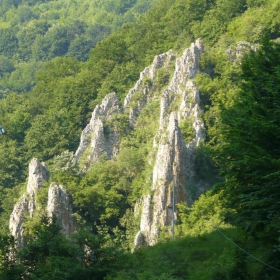 Скали ,с.Лопян, общ. Етрополе