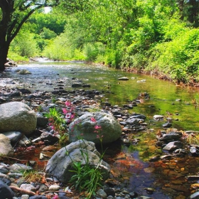 Реката край село Тъжа!