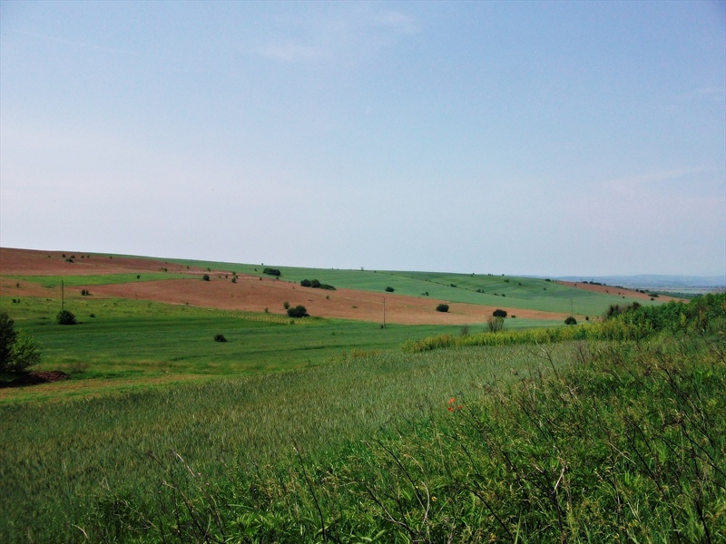 По пладне