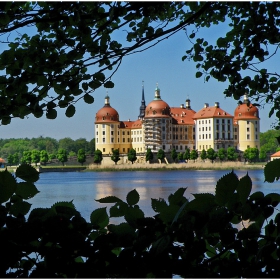 Schloss Moritzburg