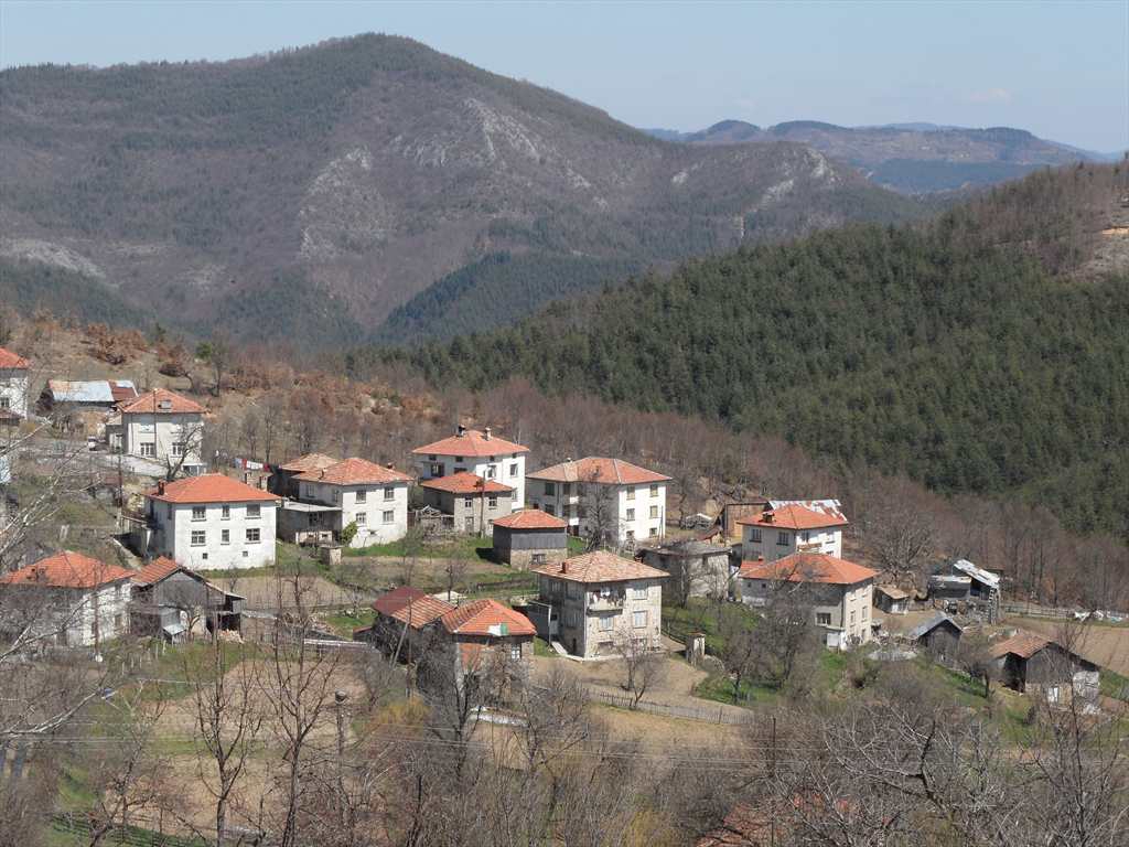 Родопско