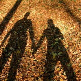 love in autumn