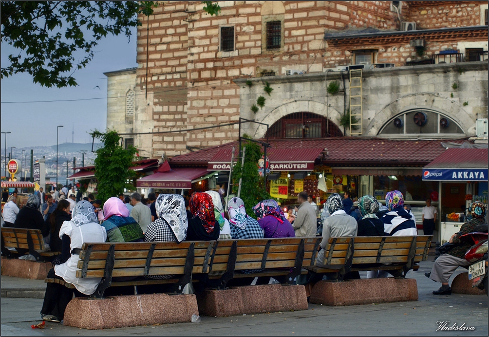 По жицата