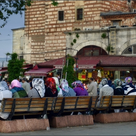 По жицата
