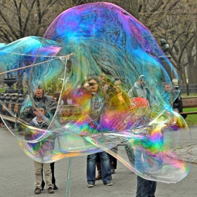 New York, Central Park 2