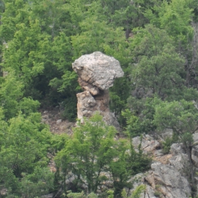 Каменната гъба