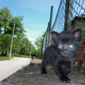 My baby Ulsi^^