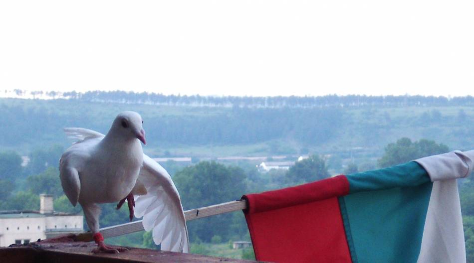 Снимка без име