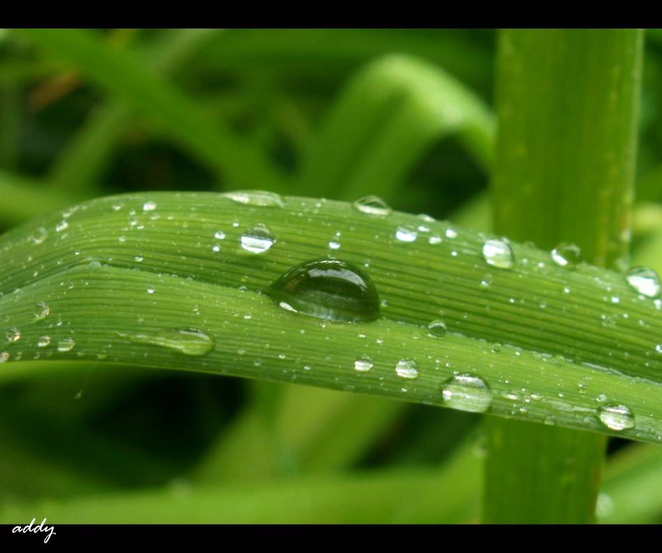Looove the rain... =)