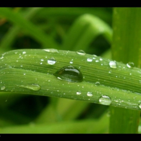 Looove the rain... =)