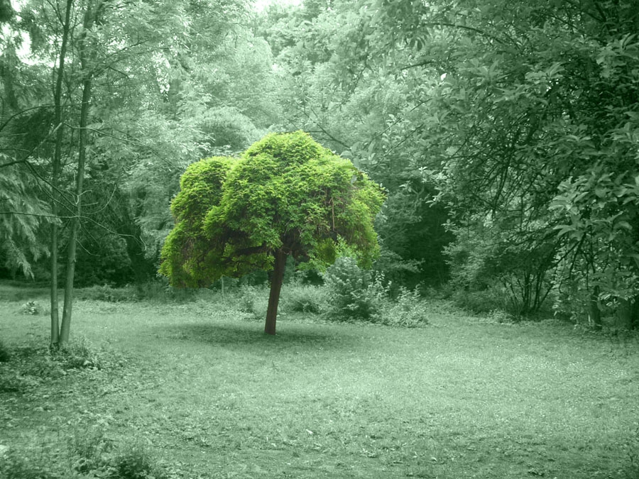 Зелено