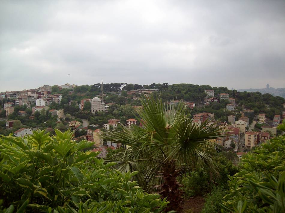 панорамно