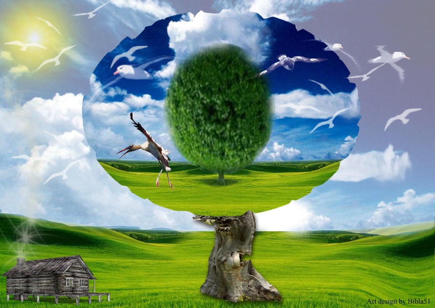 Nature'2011