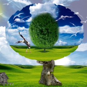 Nature'2011