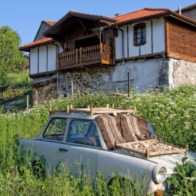 Трабантирани гъби по равногорски.