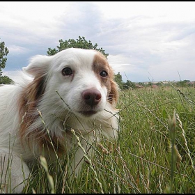 best friend(мъже,моля не се обиждайте:P)