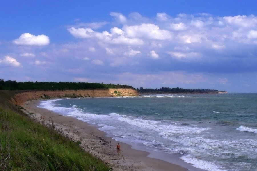 Сам
